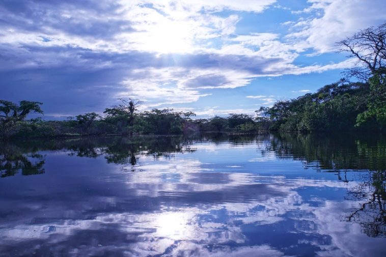 Scuba Diving Locations in Ecuador