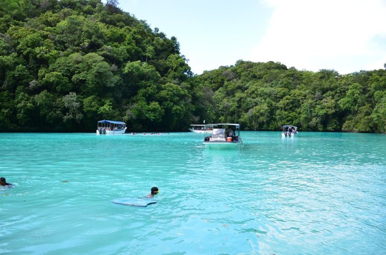 Scuba Diving Locations in The Federated States Of Micronesia