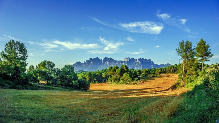 Scuba Diving Locations in Montserrat