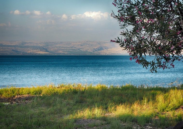 Scuba Diving Locations in Israel