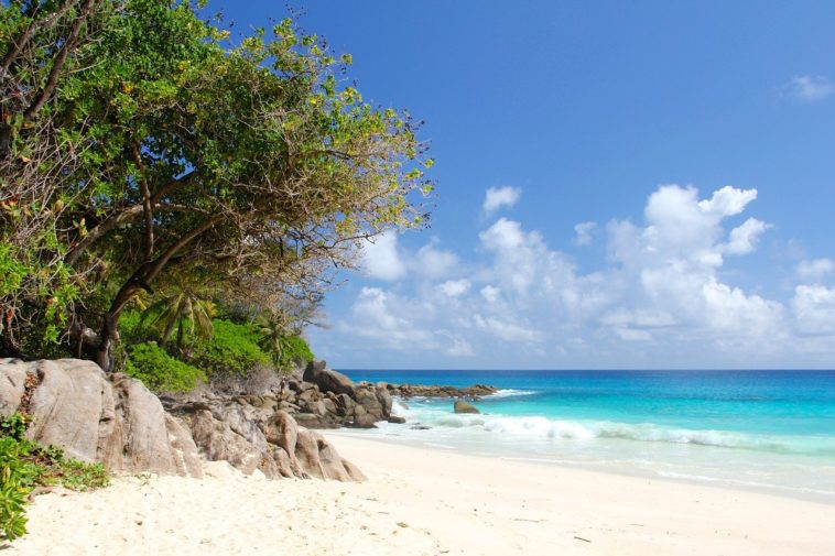 Scuba Diving Locations in Seychelles