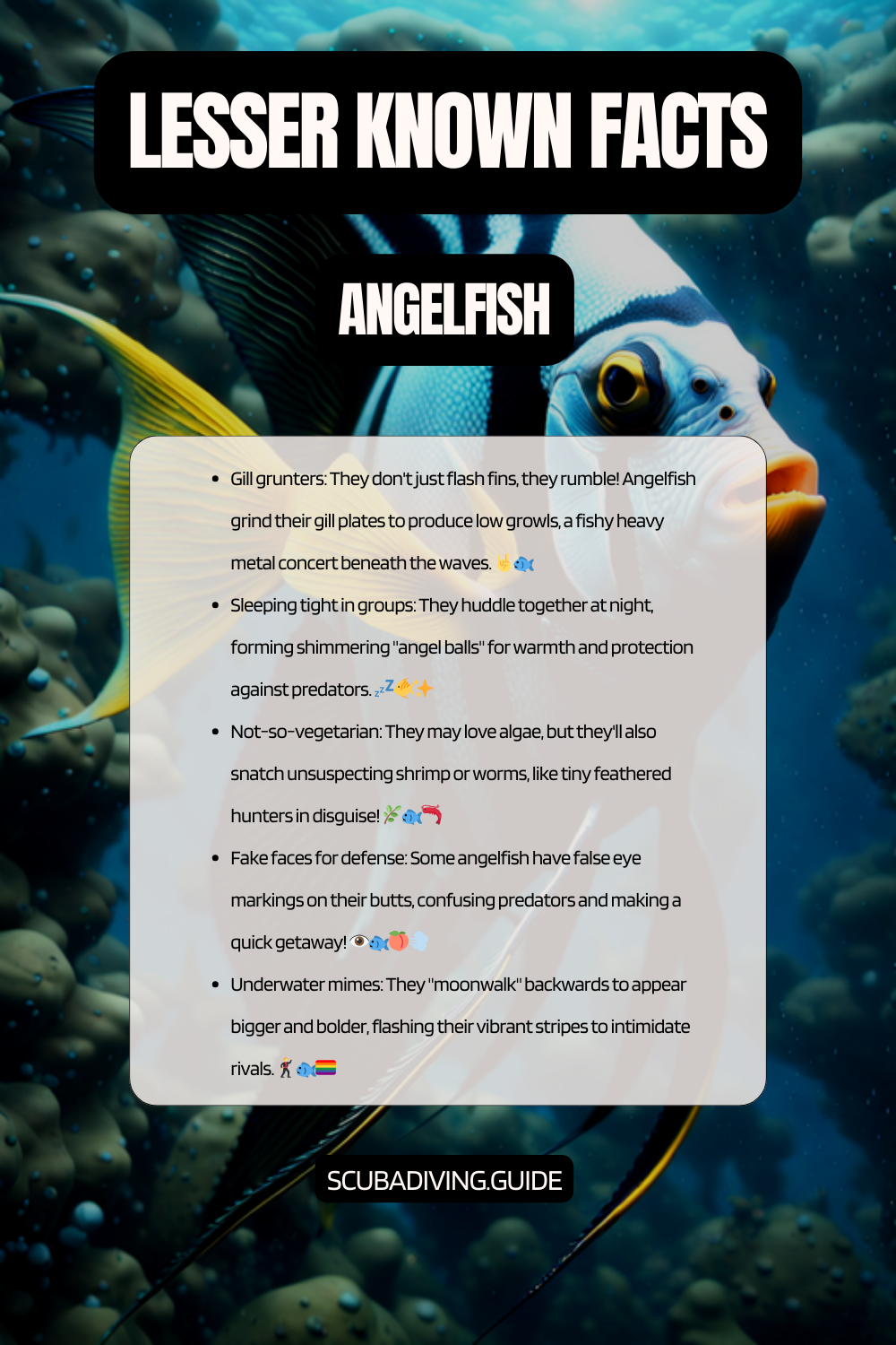 lesser known facts - angelfish