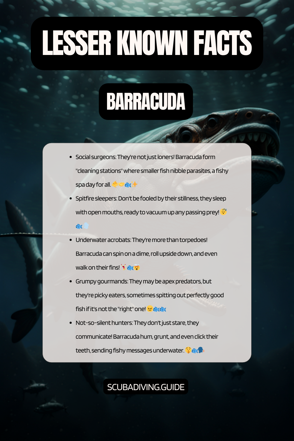 lesser known facts - barracuda