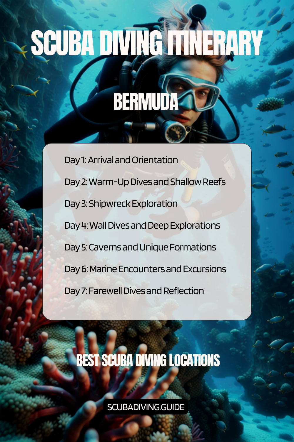 Bermuda Recommended Scuba Diving Itinerary
