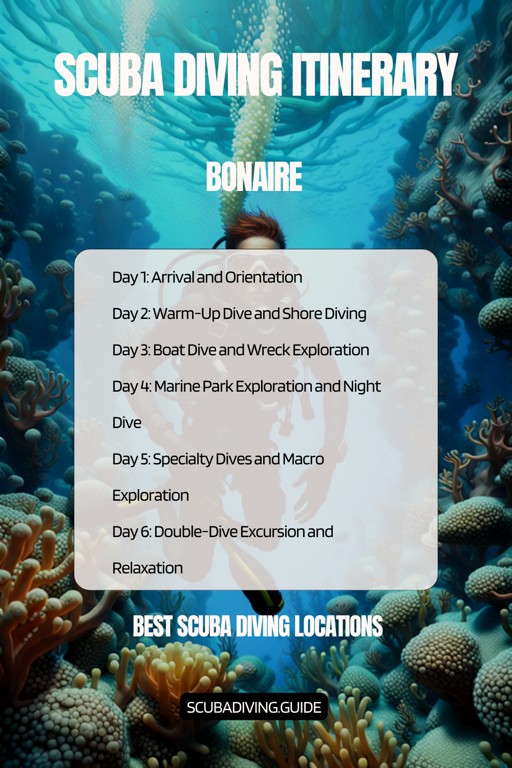 Bonaire Recommended Scuba Diving Itinerary