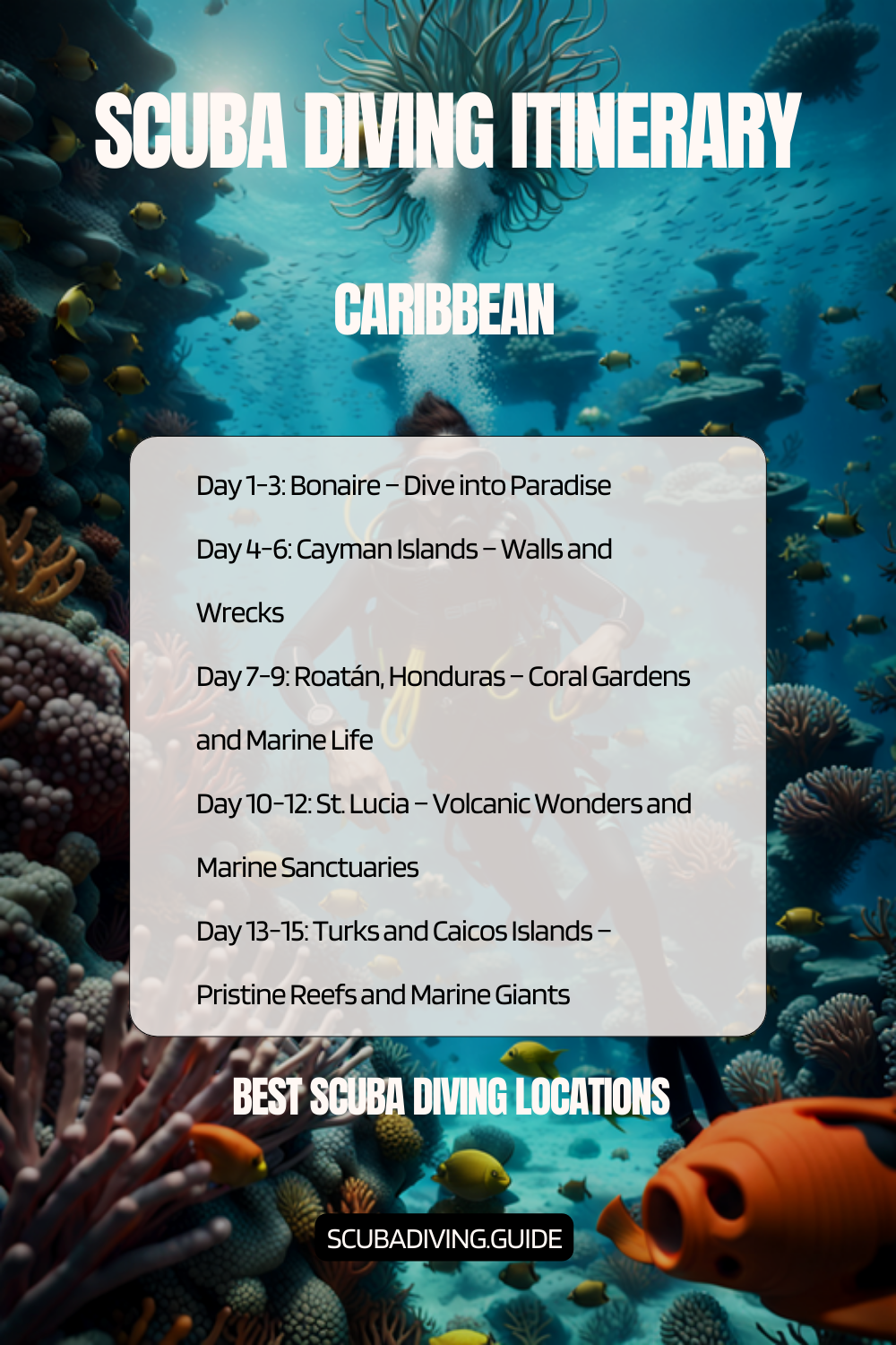 Caribbean Recommended Scuba Diving Itinerary