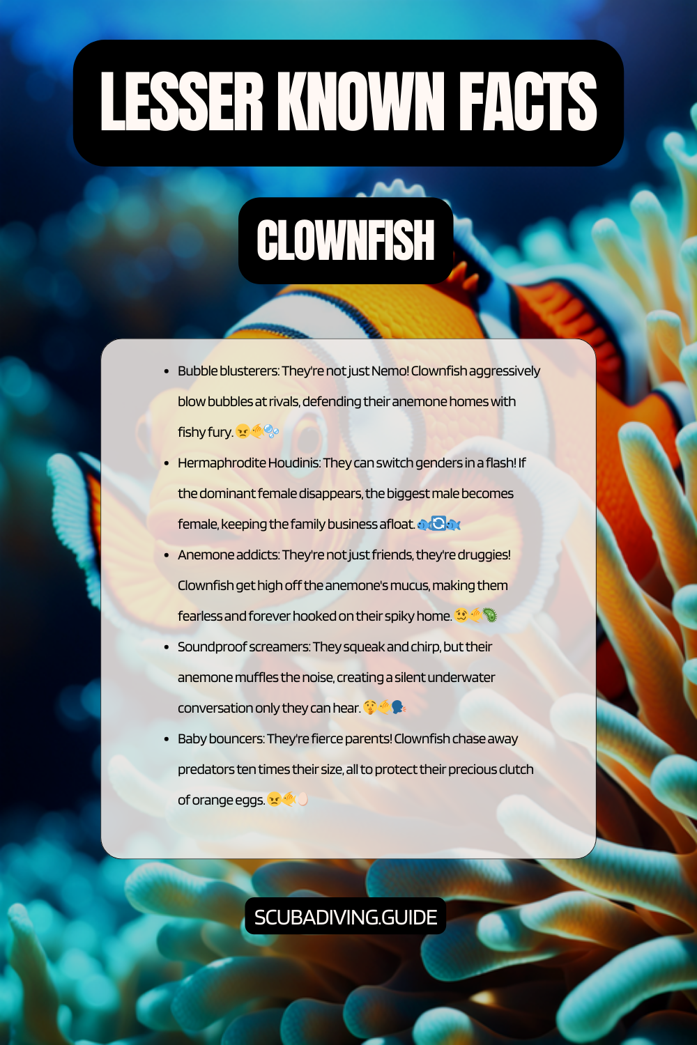 lesser known facts clownfish