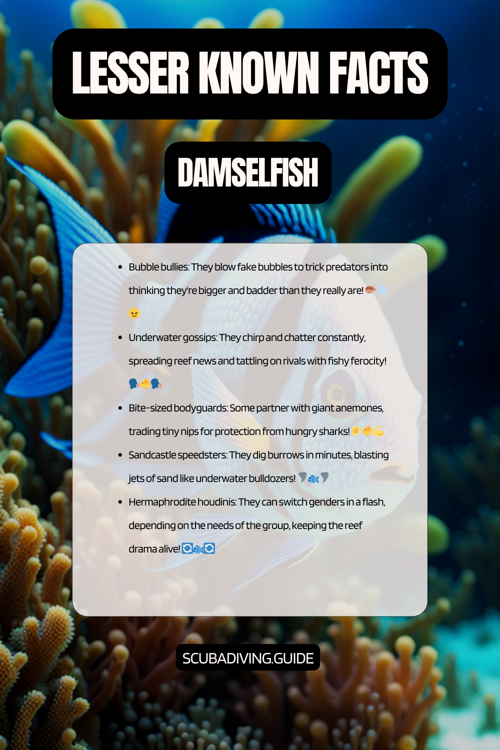 lesser known facts damselfish