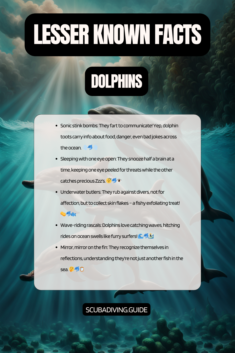 lesser known facts dolphins