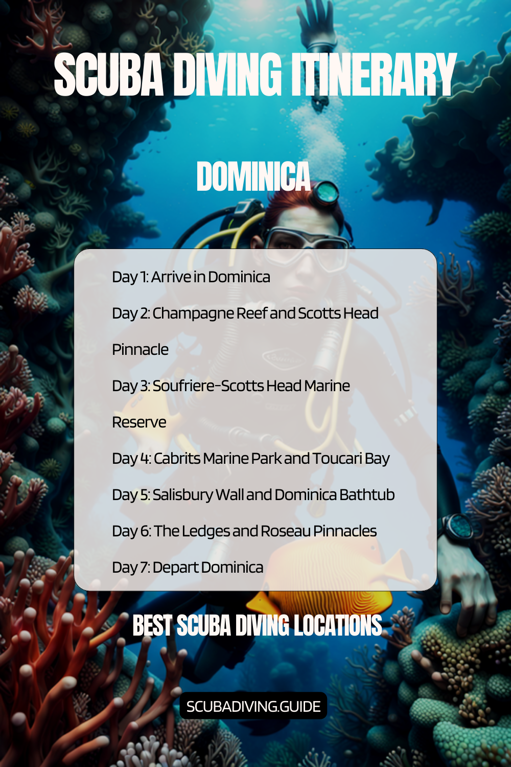 Dominica Recommended Diving Itinerary