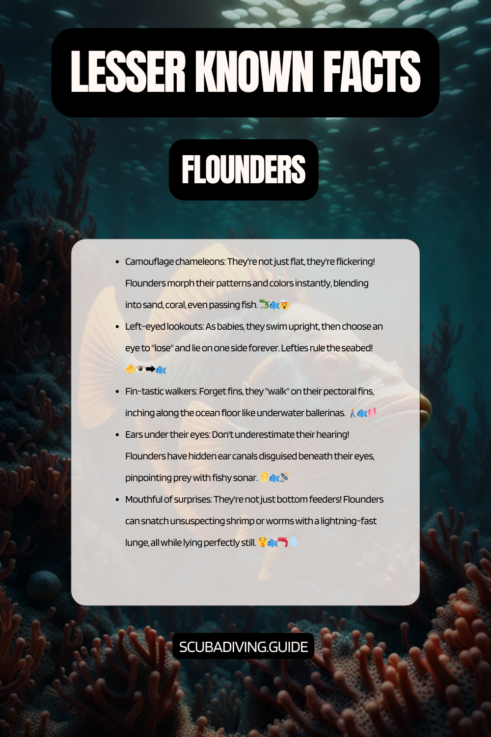 lesser known facts flounders