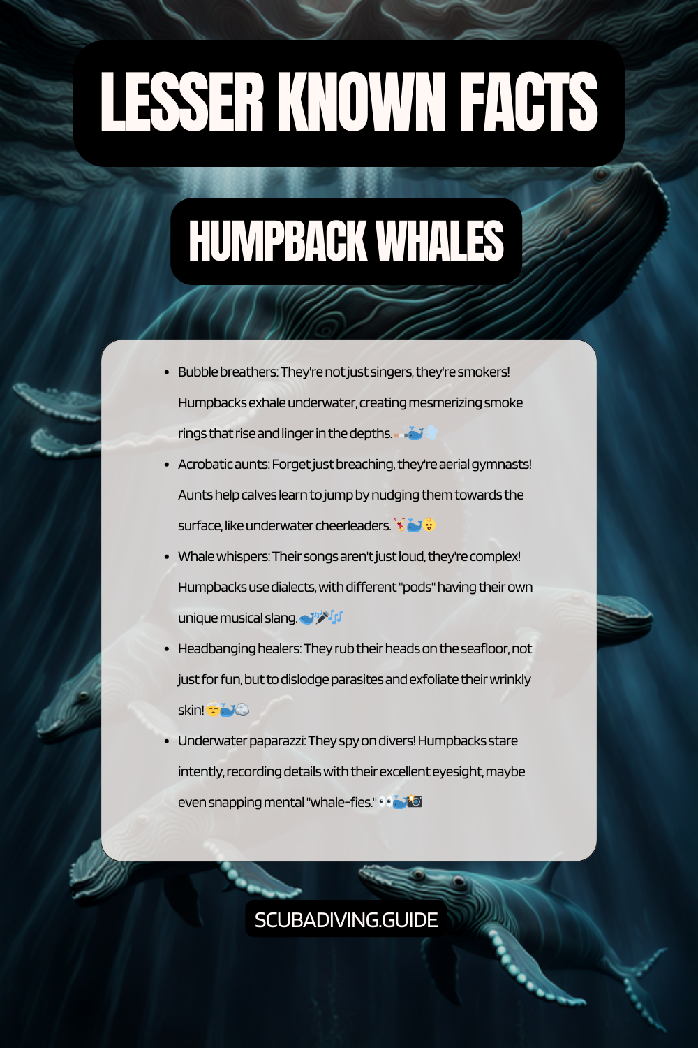 lesser known facts humpback whales