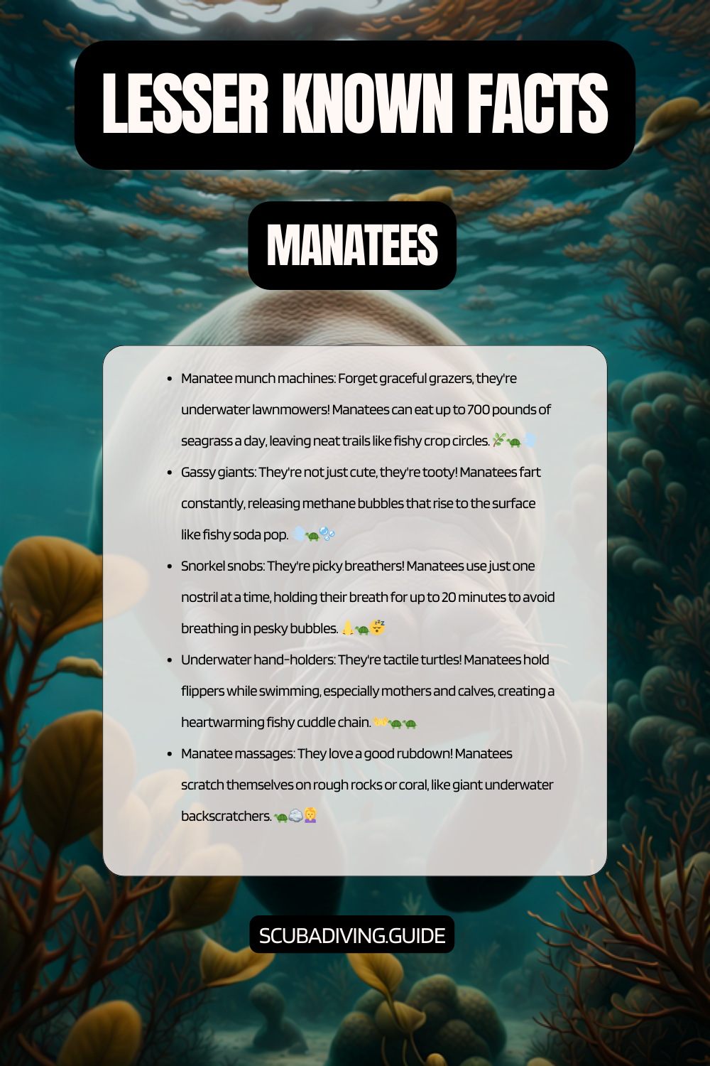 lesser known facts Manatees