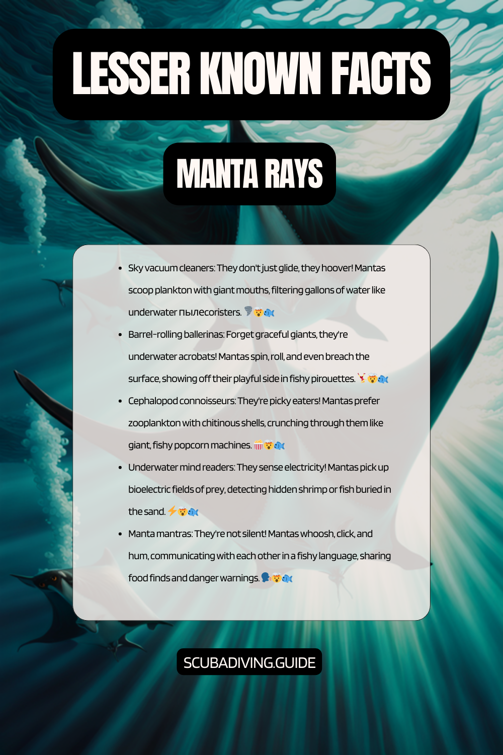 lesser known facts Manta Rays