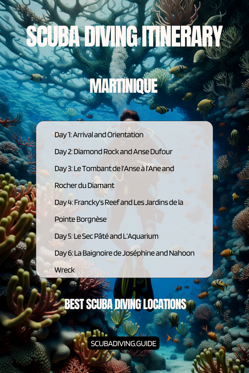 Martinique Recommended Scuba Diving Itinerary