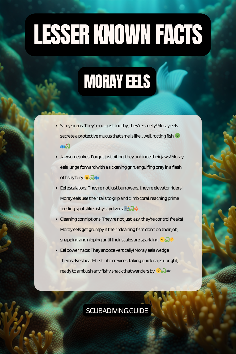lesser known facts Moray Eels