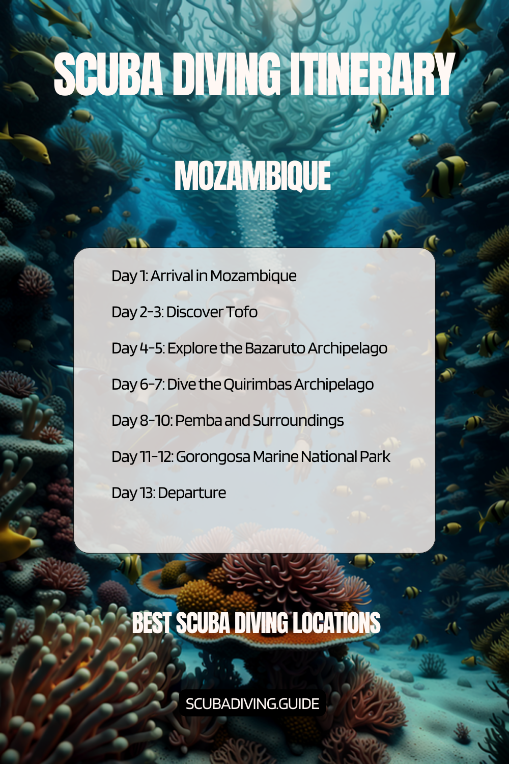 Mozambique Recommended Scuba Diving Itinerary