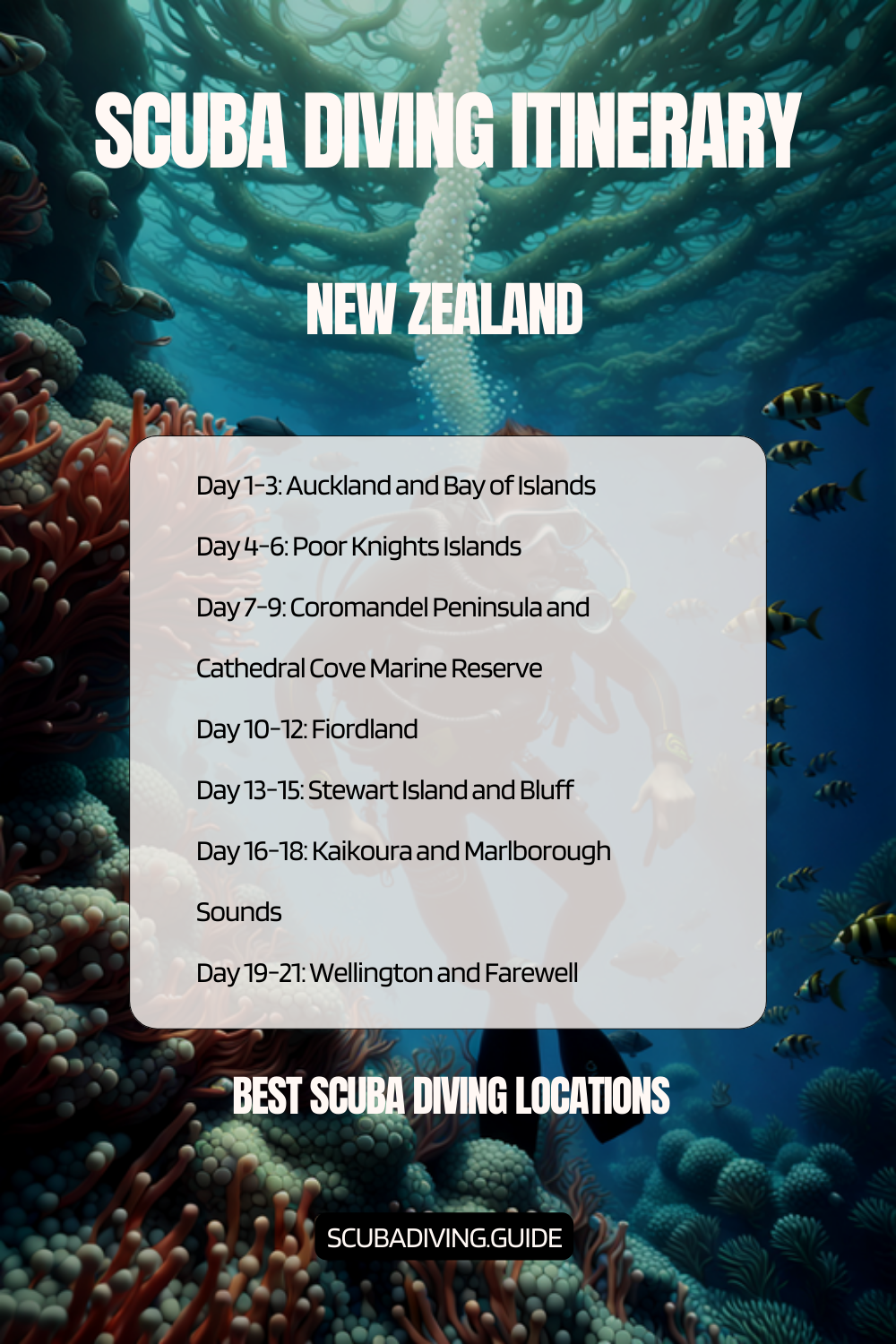 New Zealand Recommended Scuba Diving Itinerary
