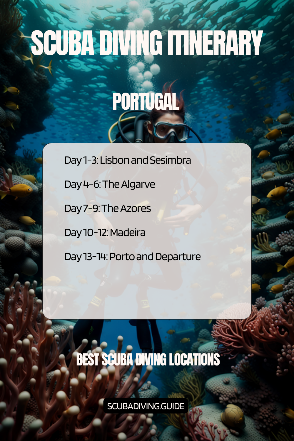 Portugal Recommended Scuba Diving Itinerary