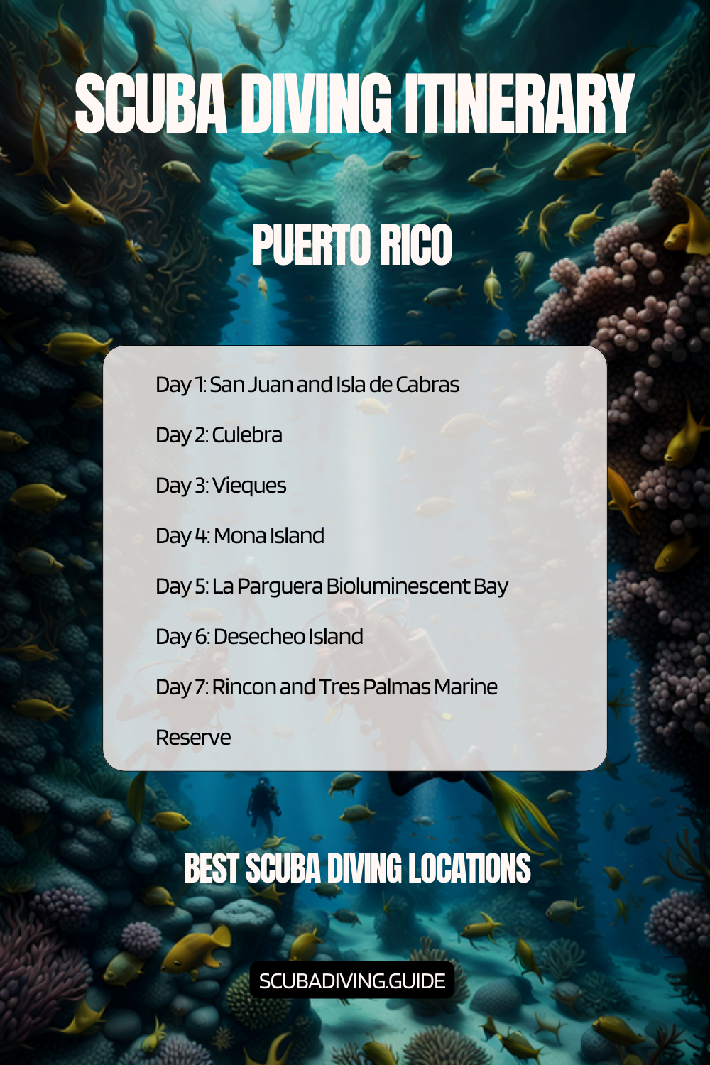 Puerto Rico Recommended Scuba Diving Itinerary
