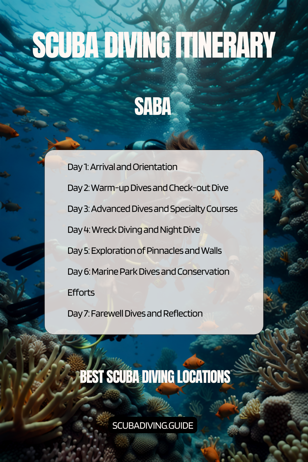 Saba Recommended Scuba Diving Itinerary