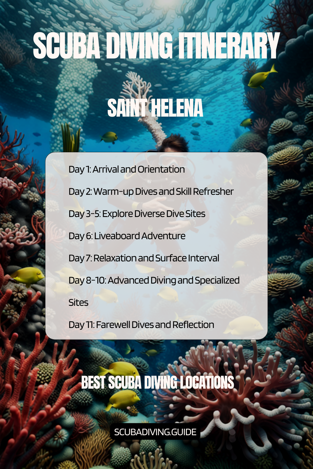 Saint Helena Recommended Scuba Diving Itinerary