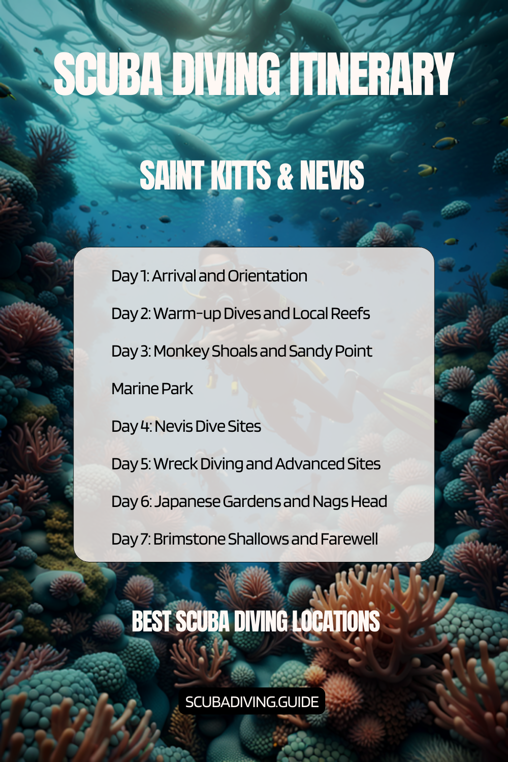 Saint Kitts & Nevis Recommended Scuba Diving Itinerary
