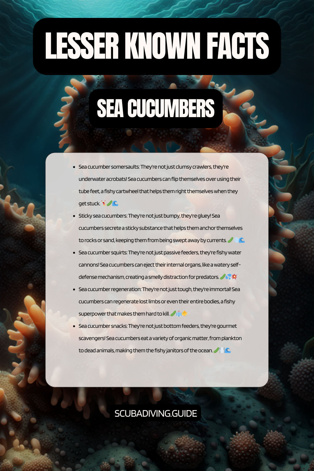 lesser known facts Sea Cucumbers