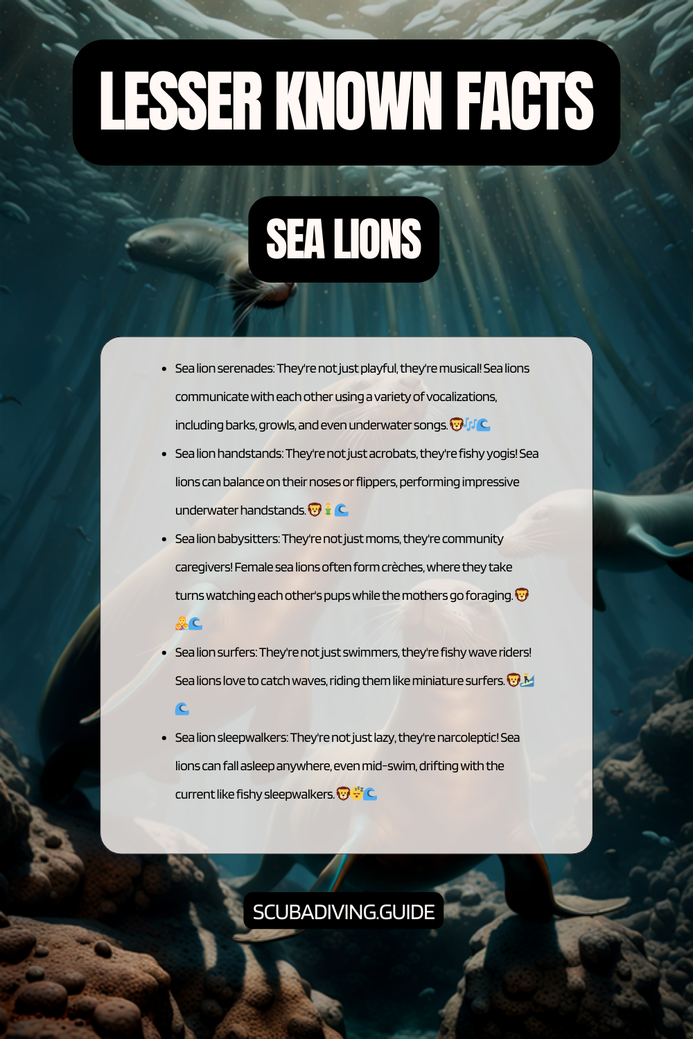 lesser known facts sea lions