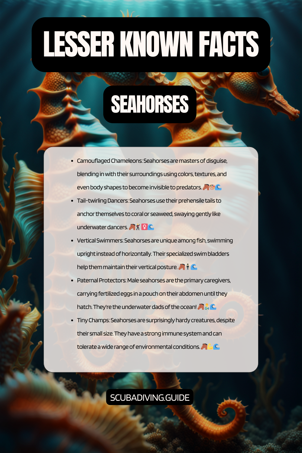 lesser known facts Seahorses
