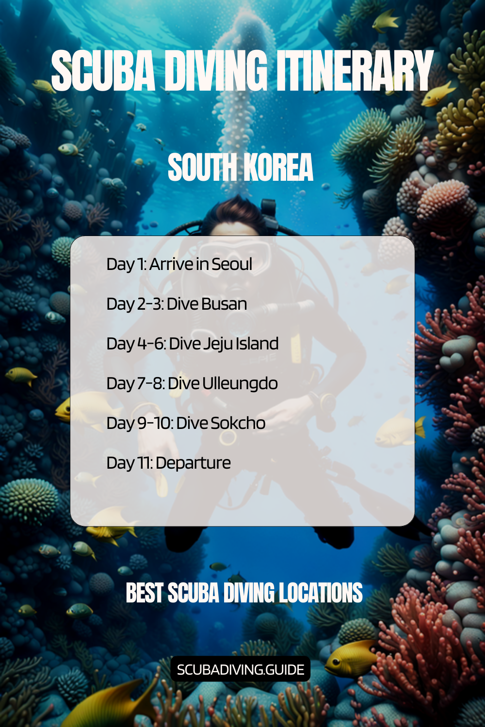 South Korea Recommended Scuba Diving Itinerary