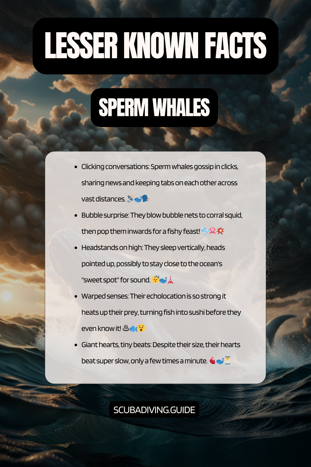 lesser known facts Sperm Whales