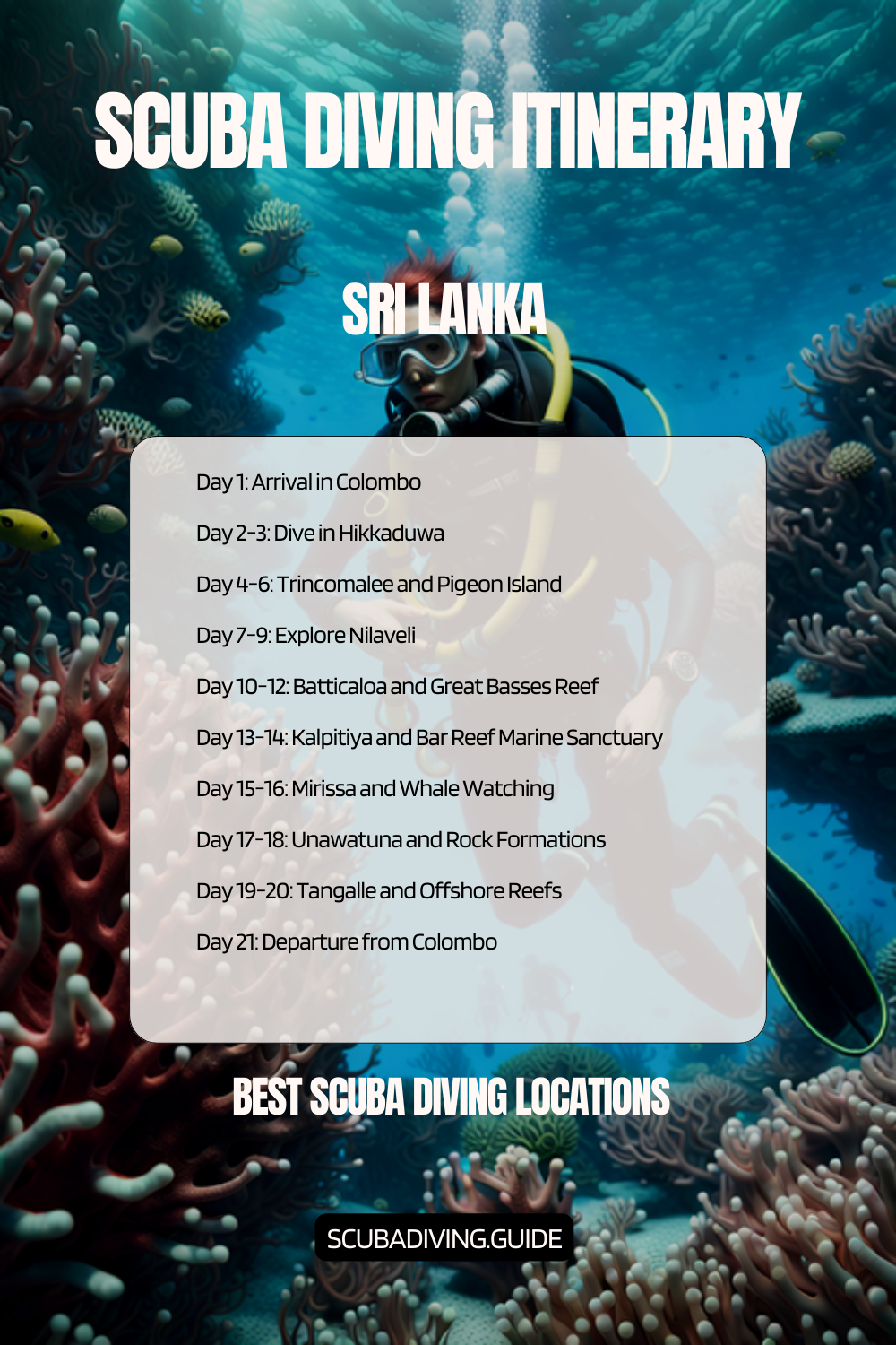 Sri Lanka Recommended Scuba Diving Itinerary