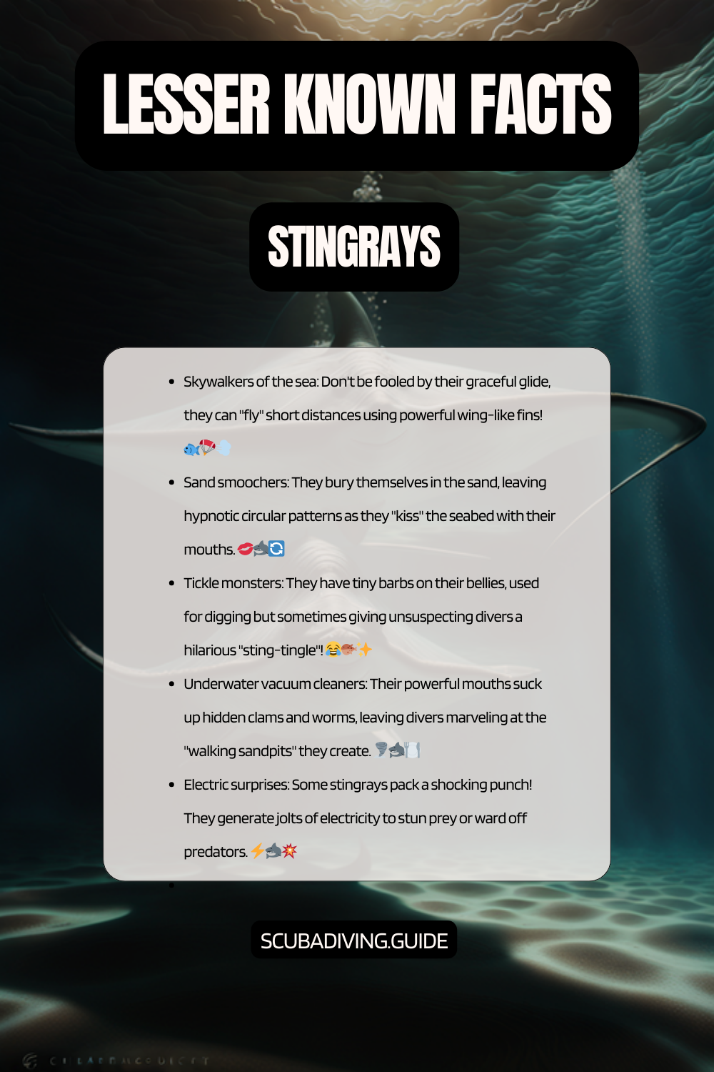 lesser known facts Stingrays