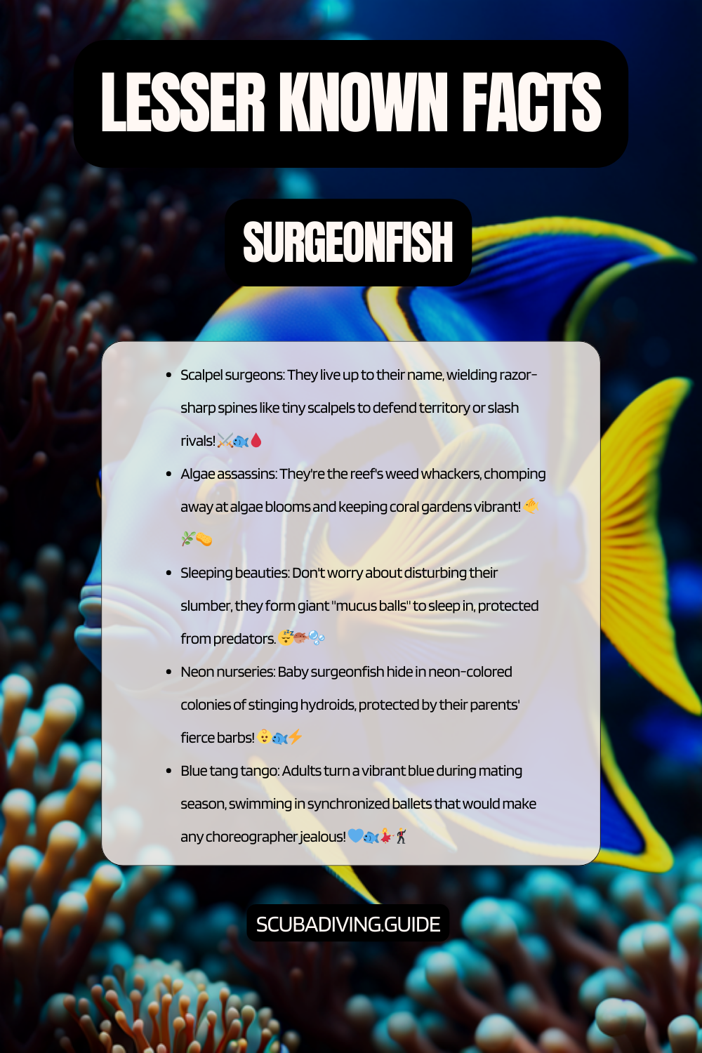 lesser known facts Surgeonfish