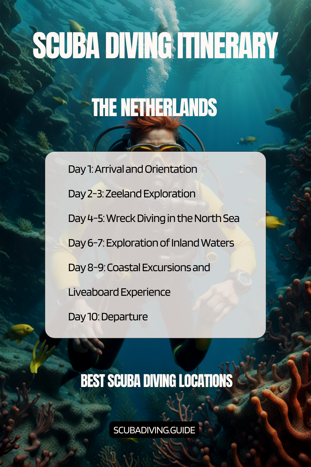 The Netherlands Recommended Scuba Diving Itinerary