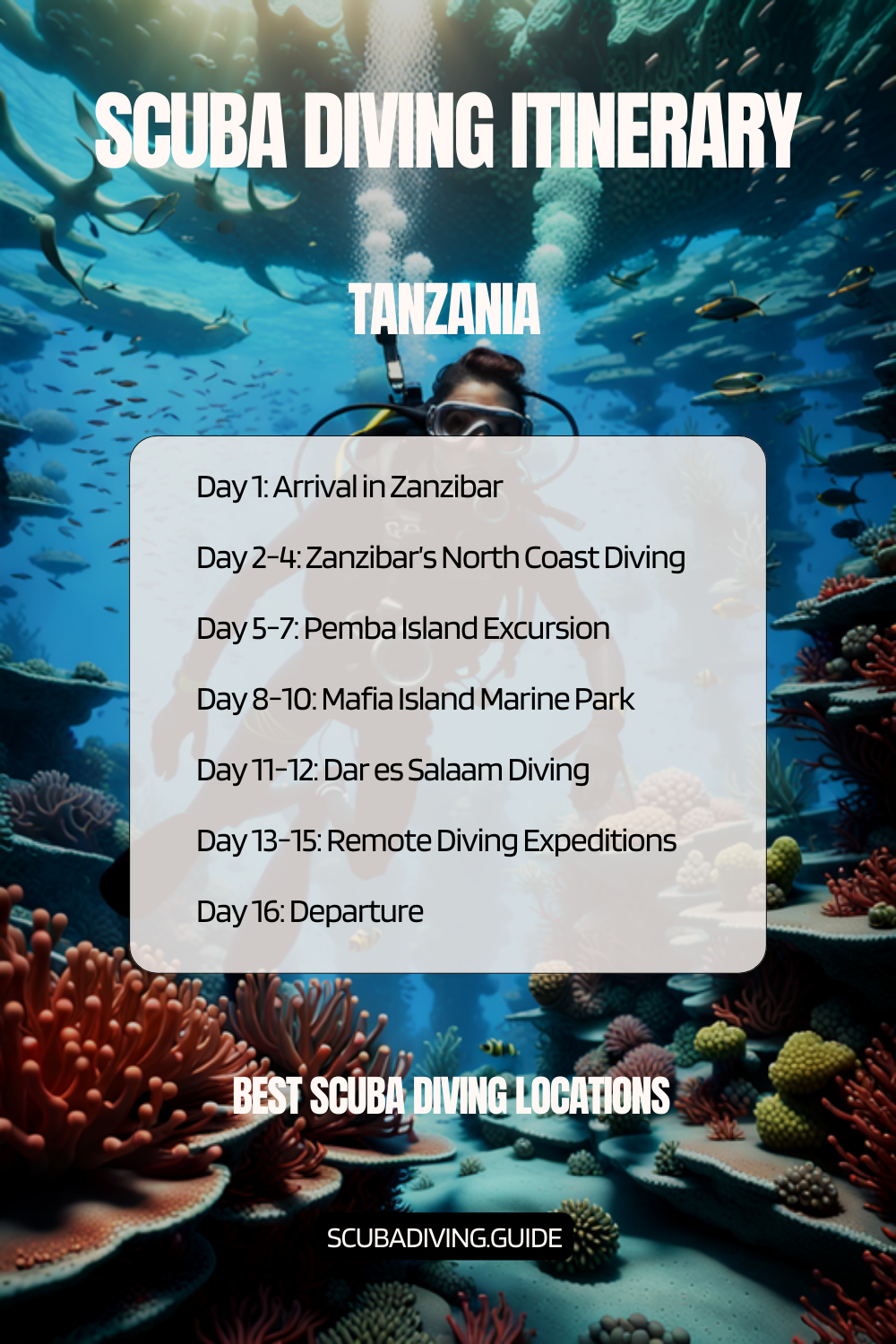 Tanzania Recommended Scuba Diving Itinerary