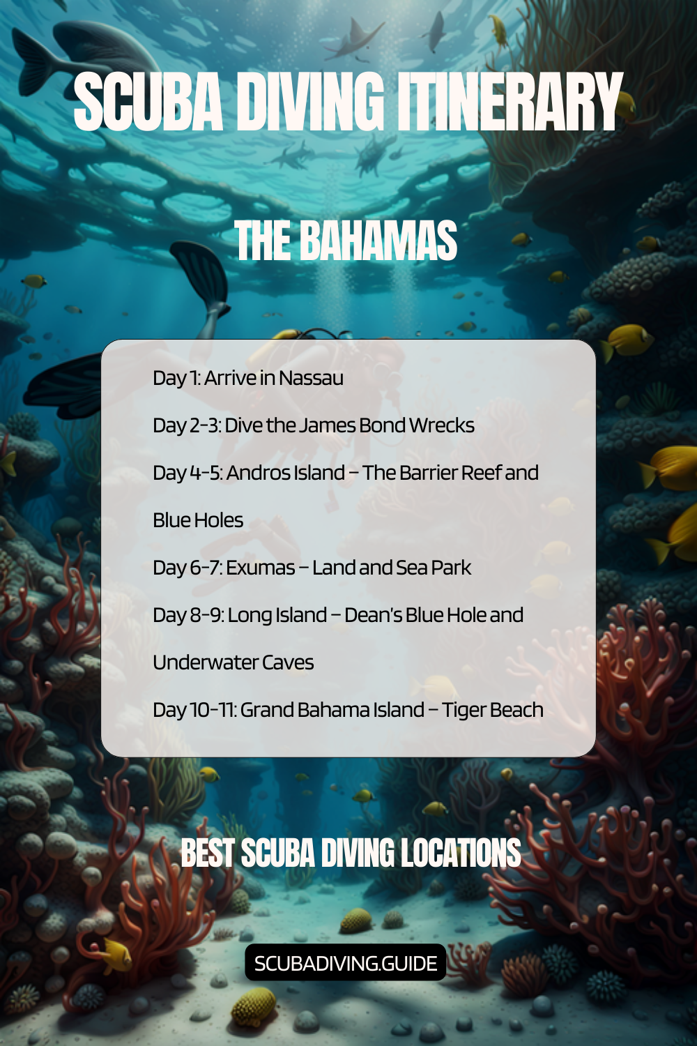 The Bahamas Recommended Scuba Diving Itinerary