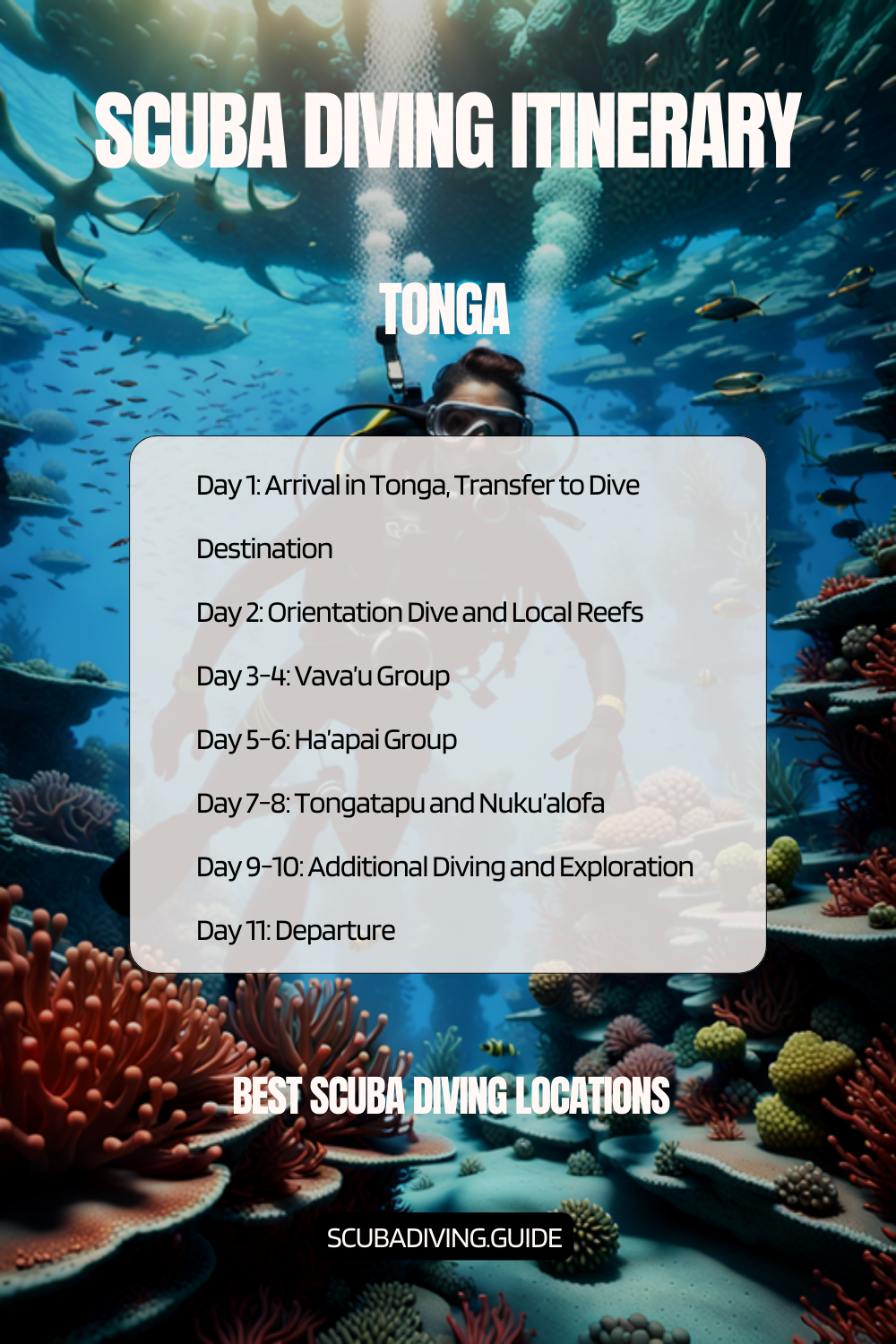 Tonga Recommended Scuba Diving Itinerary