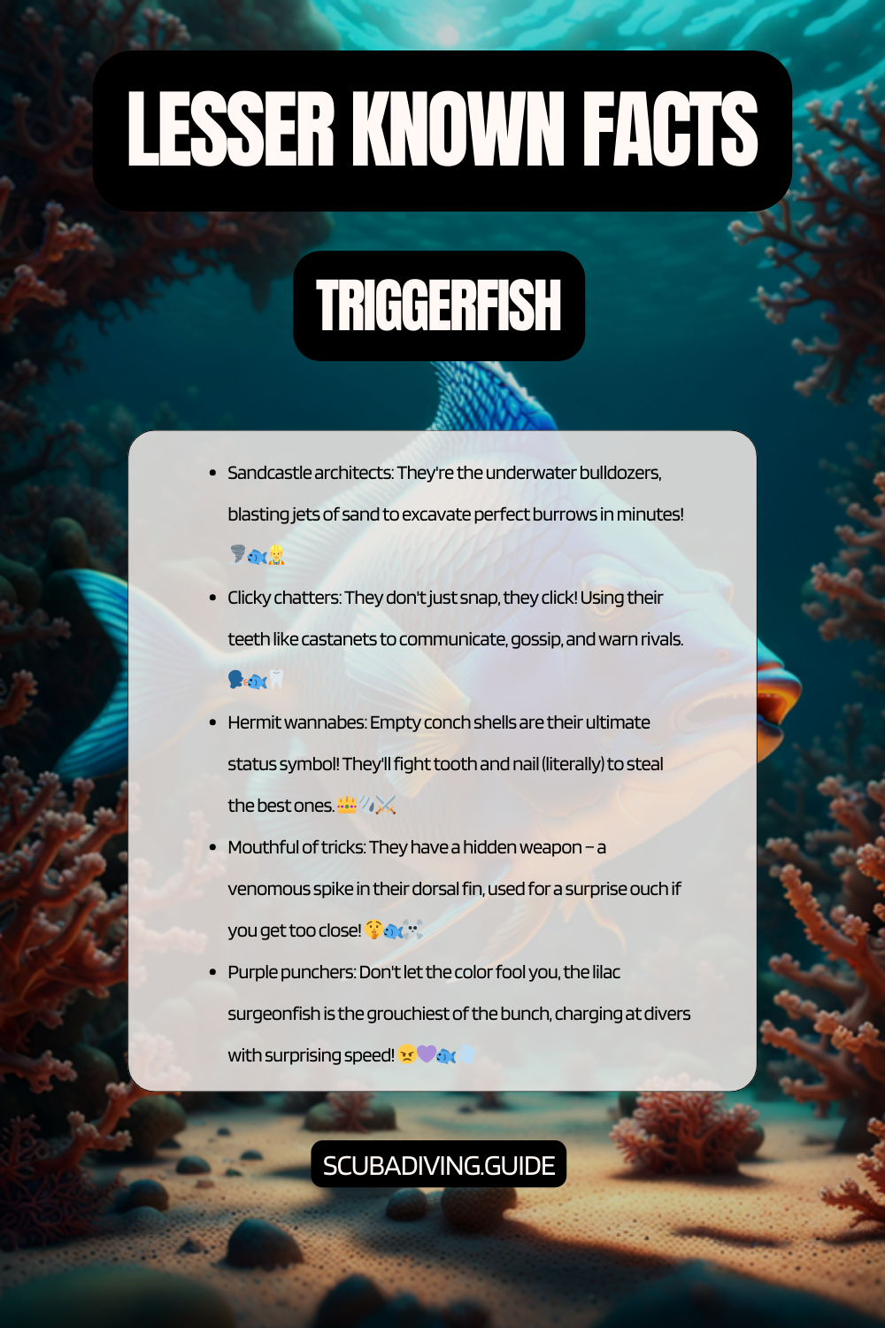 lesser known facts Triggerfish