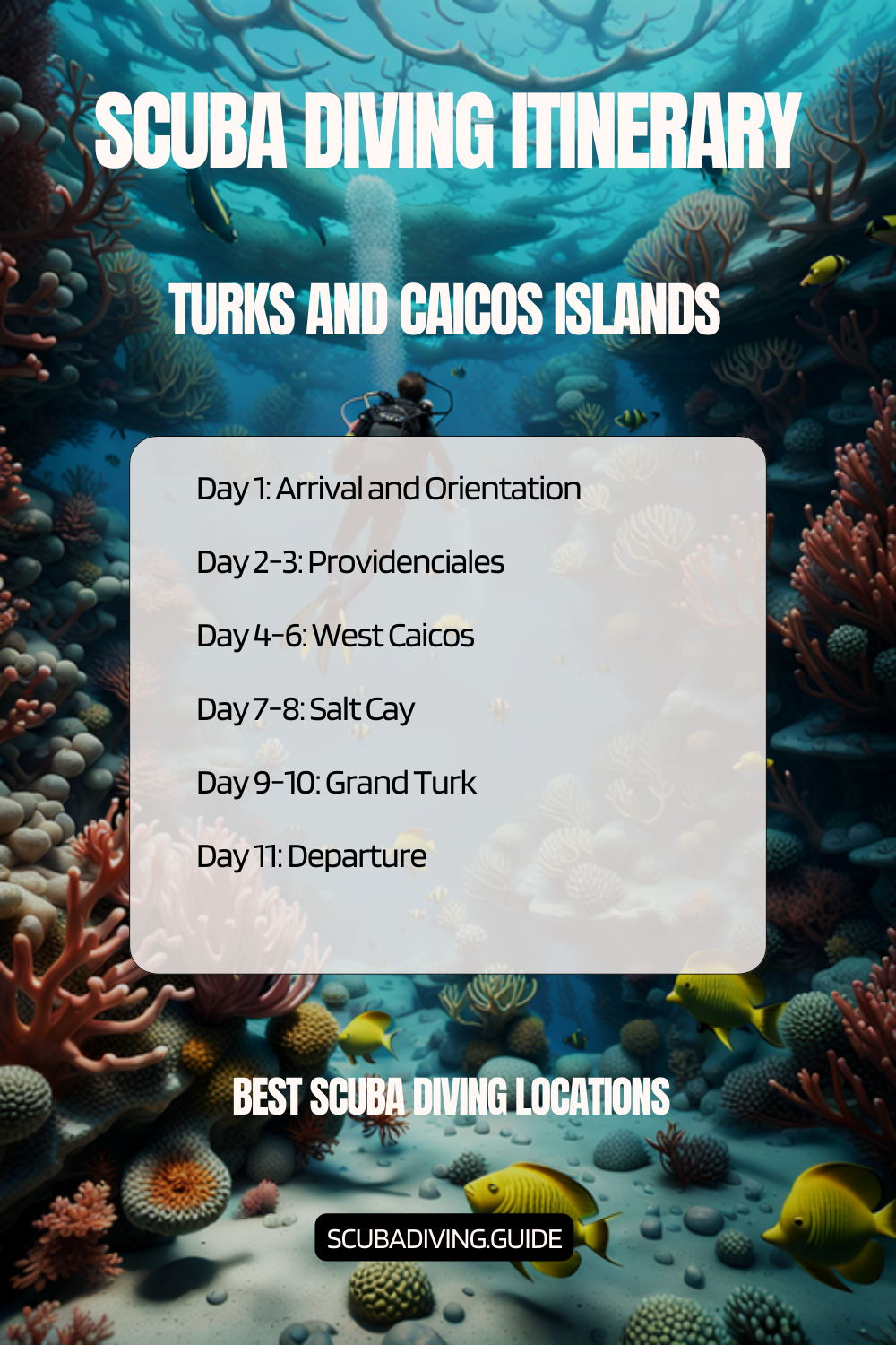 Turks And Caicos Islands Recommended Scuba Diving Itinerary