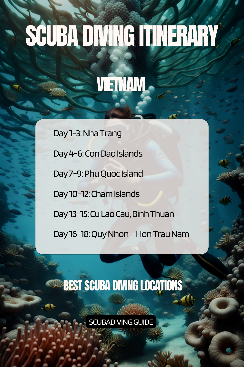 Vietnam Recommended Scuba Diving Itinerary