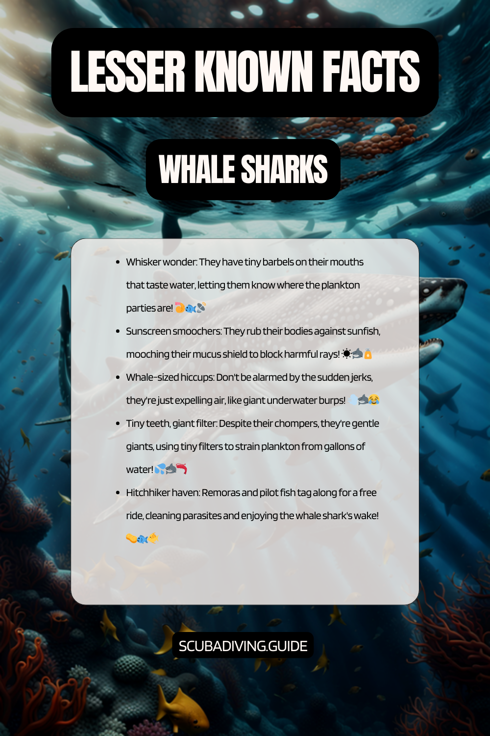 lesser known facts whale Sharks