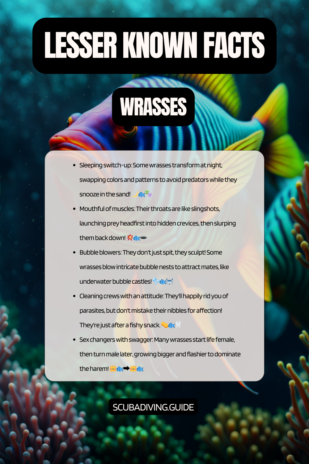 lesser known facts Wrasses